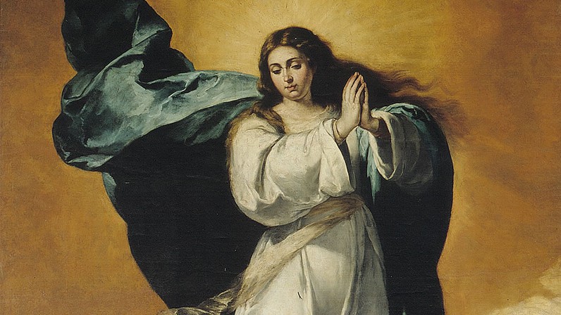 Bendita sea la Inmaculada Concepción de la Santísima Virgen María (Carta del Arzobispo)