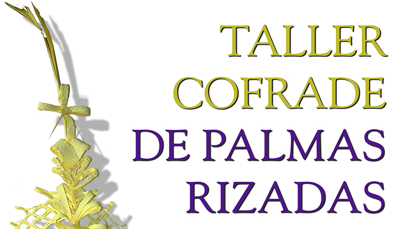 Taller de palmas rizadas 2020